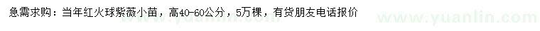 求購(gòu)高40-60公分紅火球紫薇小苗