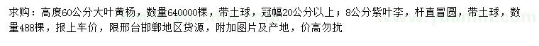 求購高60公分大葉黃楊、8公分紫葉李