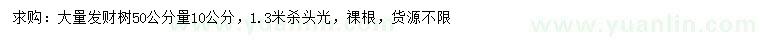 求購(gòu)50量10公分發(fā)財(cái)樹