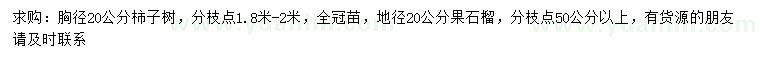 求購胸徑20公分柿子樹、地徑20公分果石榴