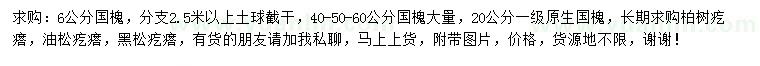 求購國槐、柏樹、油松等