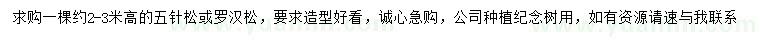 求購(gòu)高2-3米造型五針?biāo)?、羅漢松