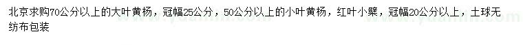 求購(gòu)大葉黃楊、小葉黃楊、紅葉小檗