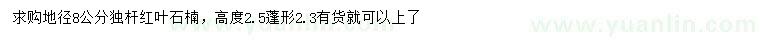 求購地徑8公分獨(dú)桿紅葉石楠