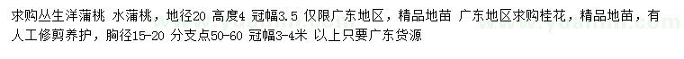 求購叢生洋蒲桃、水蒲桃、桂花