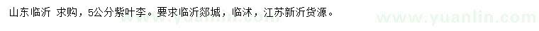 求購5公分紫葉李