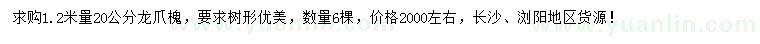 求購1.2米量20公分龍爪槐