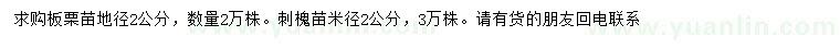 求購地徑2公分板栗苗、刺槐苗