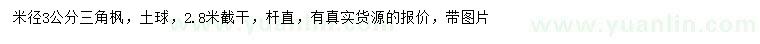求購3公分三角楓