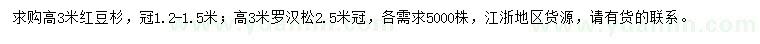 求購高3米紅豆杉、羅漢松