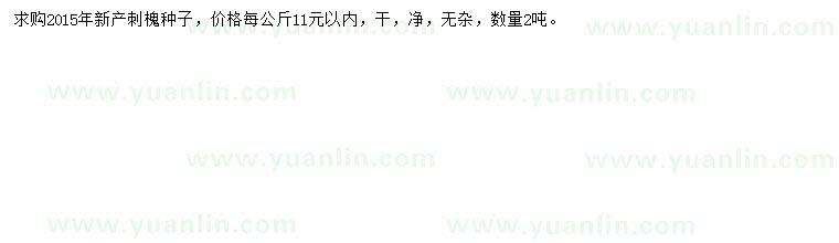 求購刺槐種子