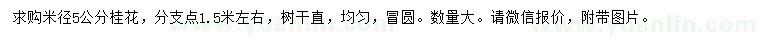 求購(gòu)米徑5公分桂花
