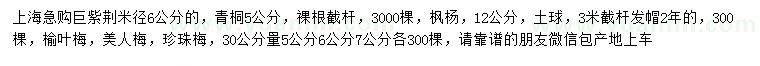 求購巨紫荊、青桐、楓楊等