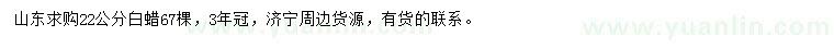 求購(gòu)22公分白蠟