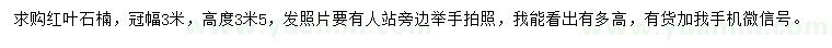 求購冠幅3米紅葉石楠