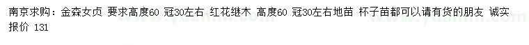 求購高60公分金森女貞、紅花繼木