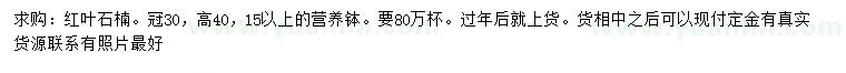 求購冠幅30公分紅葉石楠
