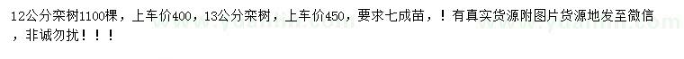 求購(gòu)12、13公分欒樹(shù)