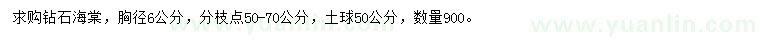 求購胸徑6公分鉆石海棠