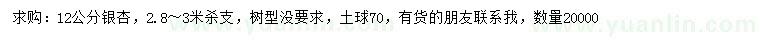 求購12公分銀杏