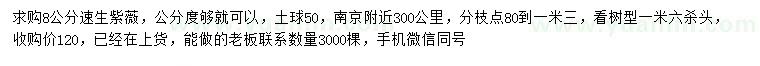 求購8公分速生紫薇