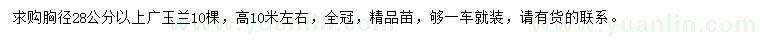 求購胸徑28公分以上廣玉蘭