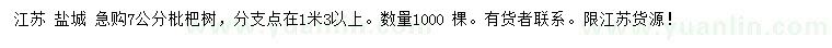 求購7公分枇杷樹