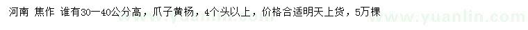 求購高30-40公分爪子黃楊