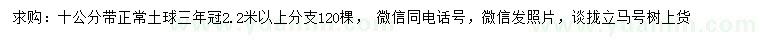 求購10公分國槐