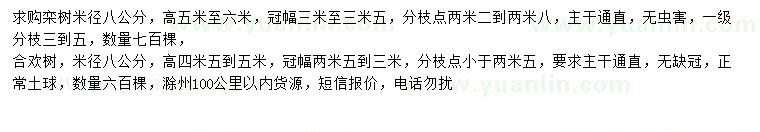 求購米徑8公分欒樹、合歡