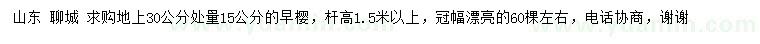 求購30公分處量15公分早櫻