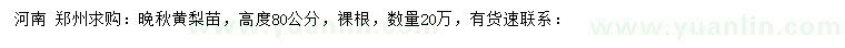 求購高80公分晚秋黃梨苗