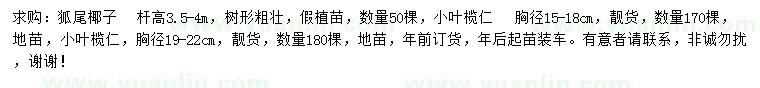 求購(gòu)桿高3.5-4米狐尾椰子、胸徑15-18、19-22公分小葉欖仁