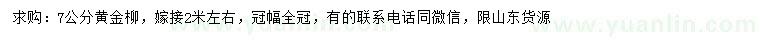 求購7公分黃金柳