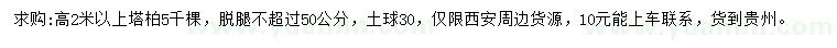 求購高2米以上塔柏
