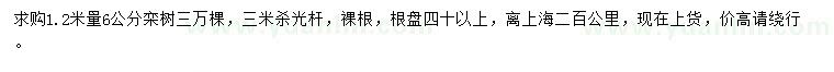 求購1.2米量6公分欒樹