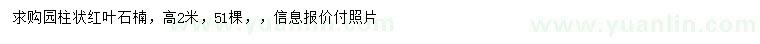 求購高2米紅葉石楠