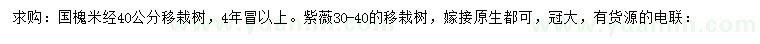 求購米經(jīng)40公分國槐