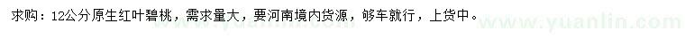 求購12公分原生紅葉碧桃