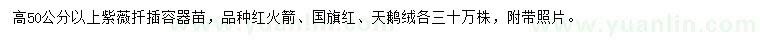 求購(gòu)紅火箭紫薇、國(guó)旗紅紫薇、天鵝絨紫薇