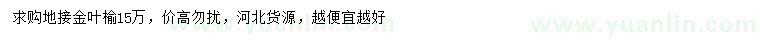 求購地接金葉榆