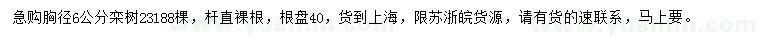 求購胸徑6公分欒樹
