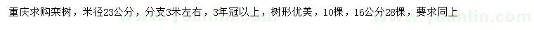 求購米徑23公分欒樹