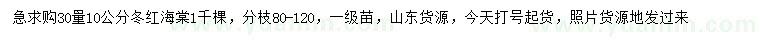 求購30量10公分冬紅海棠