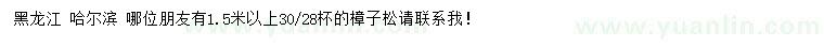 求購1.5米以上樟子松