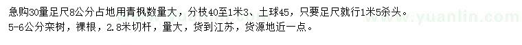 求購(gòu)30量足尺8公分青楓、5-6公分欒樹(shù)