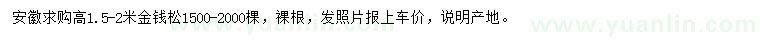 求購高1.5-2米金錢松