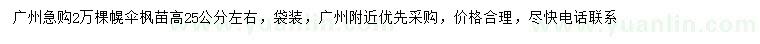 求購高25公分左右幌傘楓苗