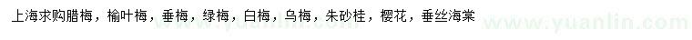 求購臘梅、榆葉梅、垂梅等