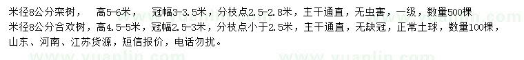 求購米徑8公分欒樹、合歡